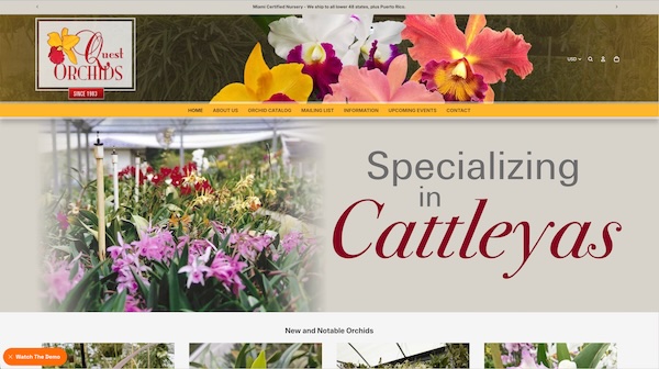 quest orchid website /