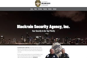 Blackrain Security